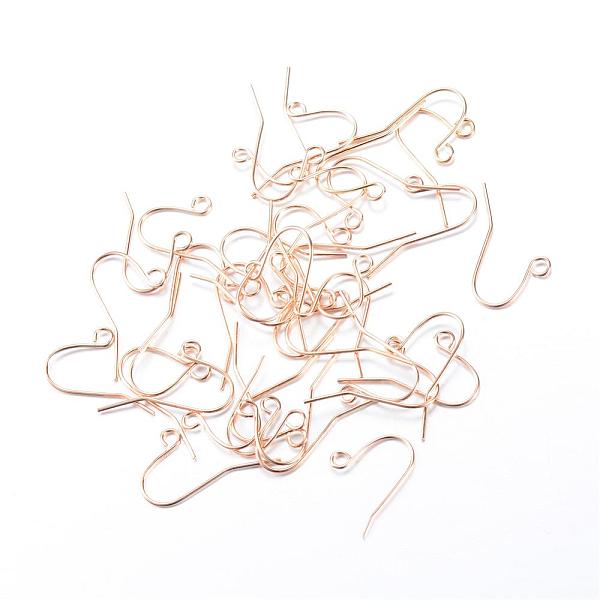 Iron Earring Hooks