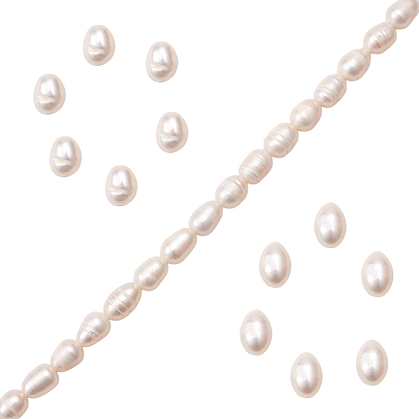 

PandaHall Natural Cultured Freshwater Pearl Beads Strands, Rice, Seashell Color, 7.5~9.5x5.5~6.5mm, Hole: 0.7mm, about 24~25pcs/strand, 7.56...