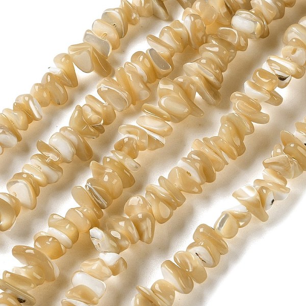 Natural Trochus She… - image