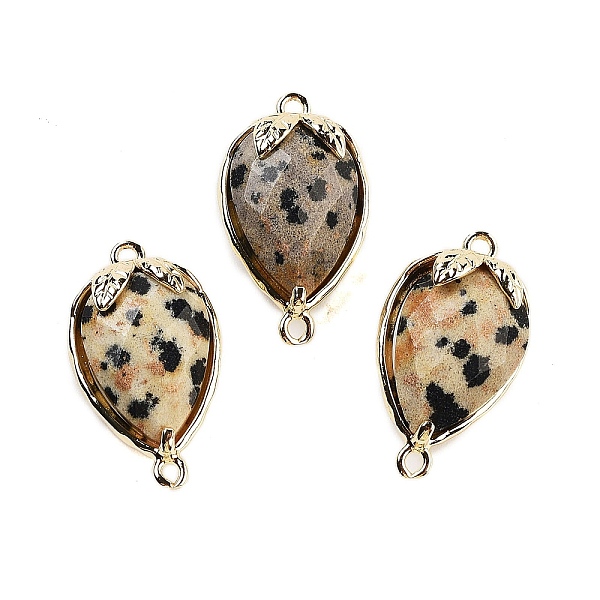 

PandaHall Natural Dalmatian Jasper Faceted Teardrop Connector Charms, Brass Strawberry Links, Golden, 20x11.5x5mm, Hole: 1.2mm Dalmatian...