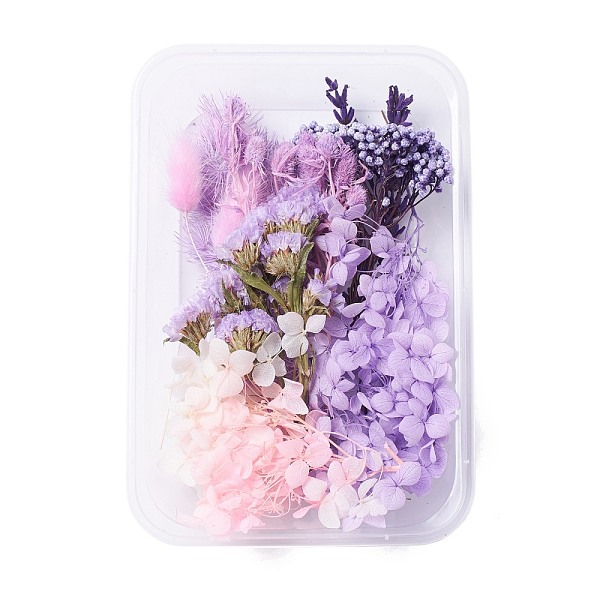 

PandaHall Dried Flowers, DIY Candle Soap Making Accessories, with Plastic Rectangle Box, Purple, 7.6~15x1~11.2cm Dried Flower Purple