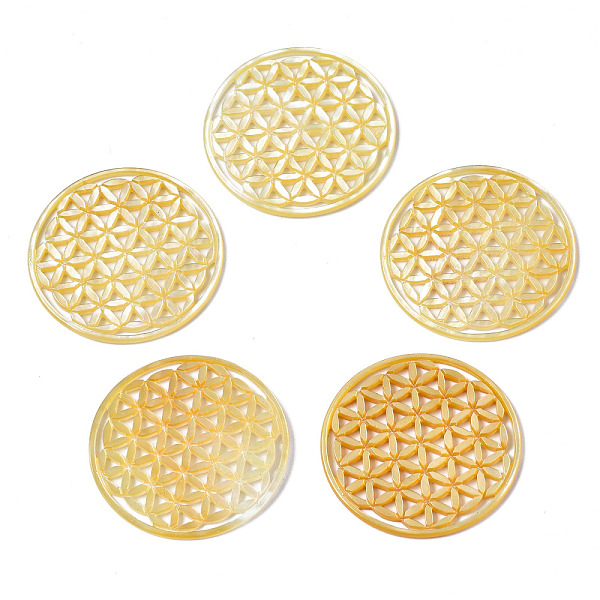 

PandaHall Natural Shell Filigree Joiners Links, Hollow, Flat Round, Yellow, 30x1.5~2mm Shell Flat Round Yellow