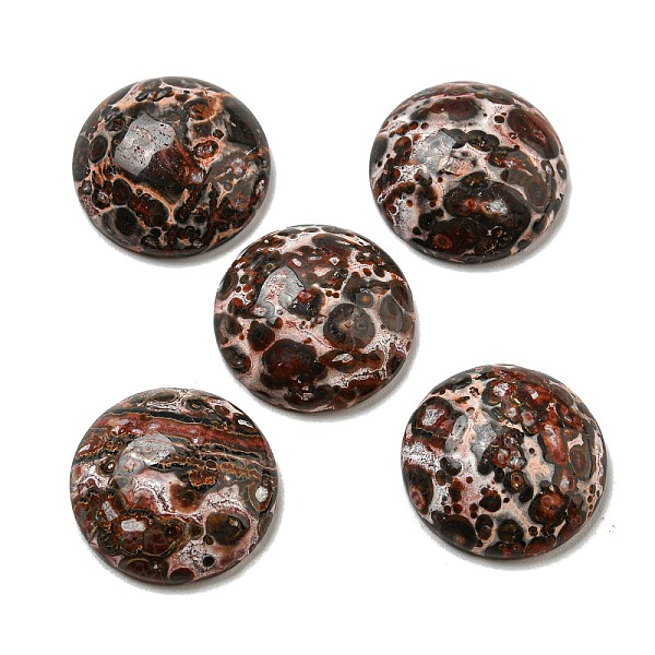 Natural Leopard Ski… - image
