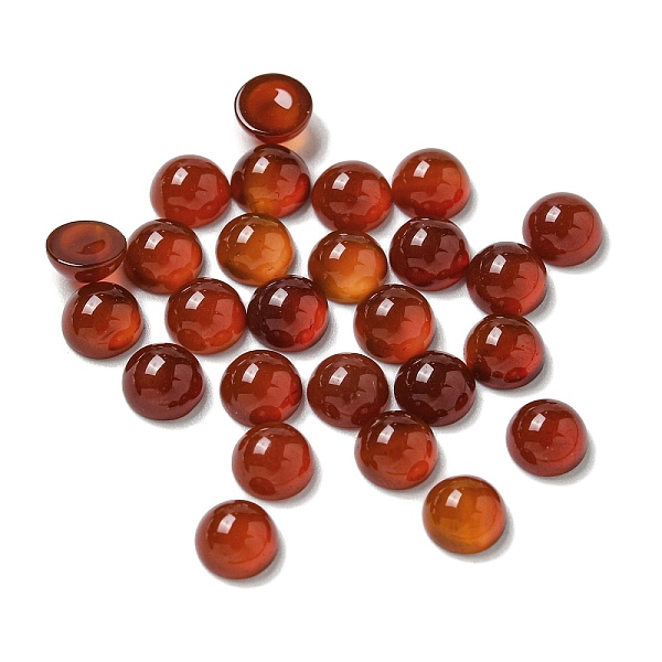 

PandaHall Natural Carnelian Cabochons, Half Round, 5x2.5mm Carnelian Half Round