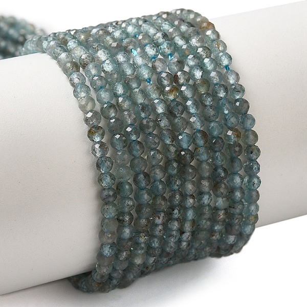 

PandaHall Natural Apatite Beads Strands, Faceted, Round, 2.5mm, Hole: 0.5mm, about 177pcs/strand, 15.20 inch(38.6cm) Apatite Round