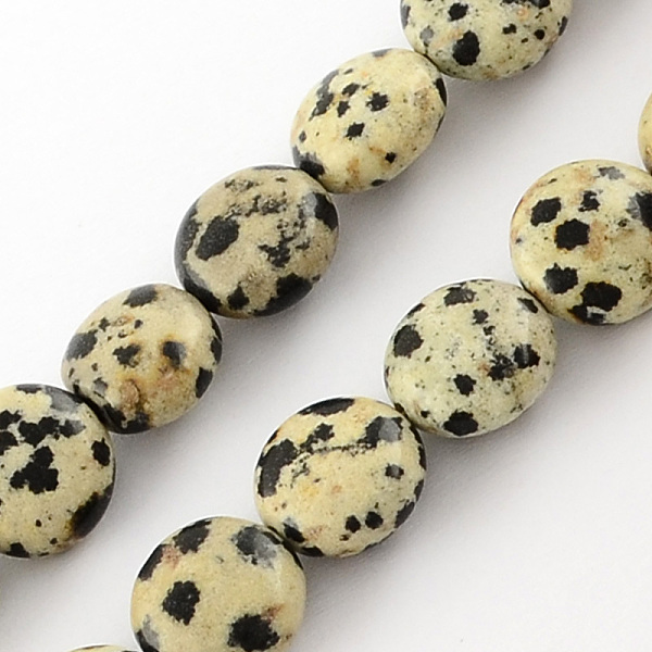 

PandaHall Natural Dalmation Jasper Bead Strands, Lentil, Beige, 10x5mm, Hole: 1mm, about 40pcs/strand, 15.7 inch Dalmatian Jasper Flat Round..., Yellow