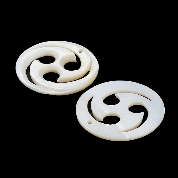 

PandaHall Natural Freshwater Shell Pendants, Flat Round Vortex Charms, Snow, 29.5x2.5mm, Hole: 1.3mm Freshwater Shell Flat Round White