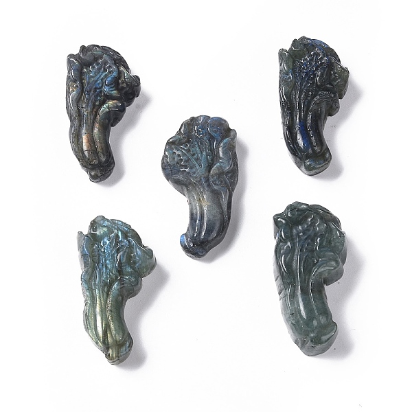 

PandaHall Natural Labradorite Cabochons, Chinese Cabbage, 41~43.5x20~23.5x9~14mm Labradorite Vegetables