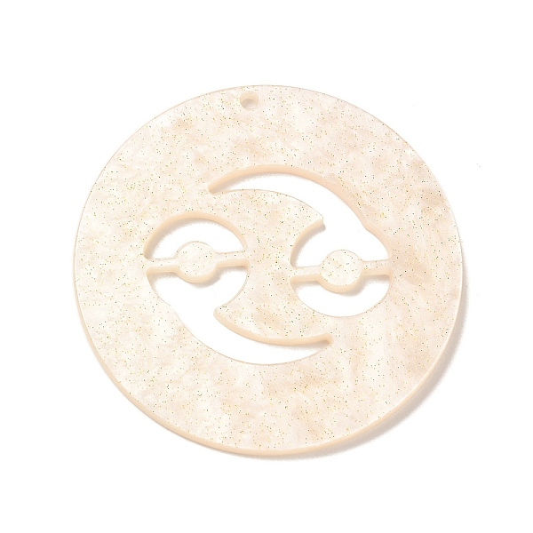 

PandaHall Acrylic Pendants, Starry Sky, Gradient Color, 12 Constellations, Pisces, 55x2mm Acrylic Pisces
