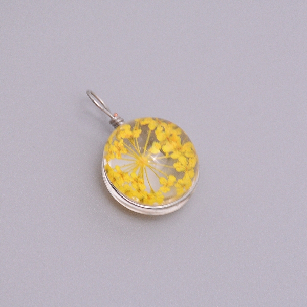 

PandaHall Transparent Glass Pendants, with Dried Flower inside and Stainless Steel Finding, Flat Round, Stainless Steel Color, Yellow...