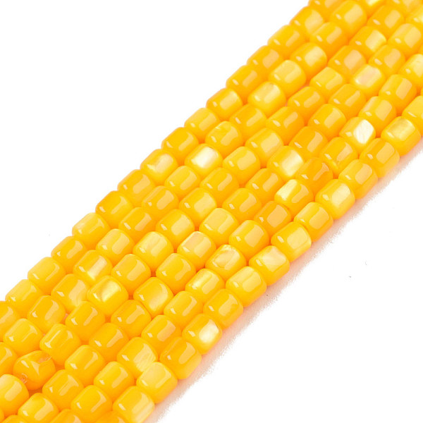 

PandaHall Natural Freshwater Shell Beads Strands, Dyed, Column, Gold, 3.5x3.5mm, Hole: 0.8mm, about 110~113pcs/strand, 14.69 inch~15.08 inch...