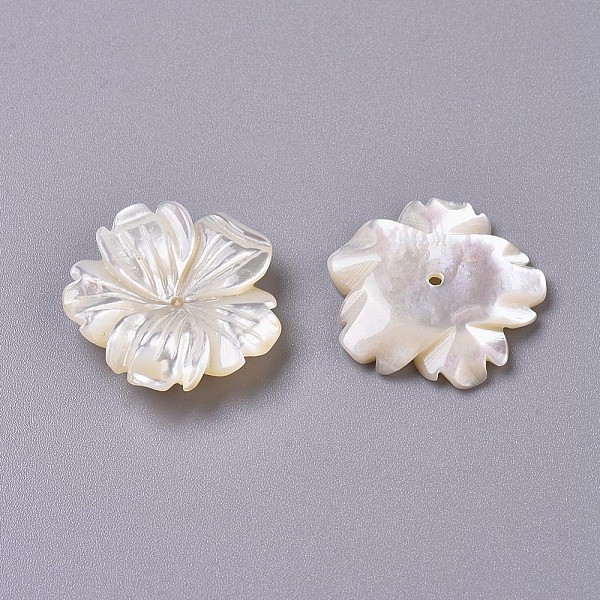 

PandaHall Shell Beads, Sakura, 18x4mm, Hole: 1mm Other Sea Shell Flower