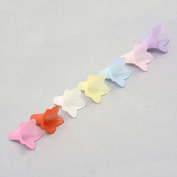 

PandaHall Transparent Acrylic Beads, Frosted, Flower, Mixed Color, 22.5x22x22mm, Hole: 2mm Acrylic Flower Multicolor