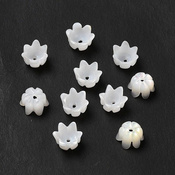 

PandaHall Natural Freshwater Shell Bead Caps, 6-Petal, Flower, Seashell Color, 7x4.5mm, Hole: 1mm Shell