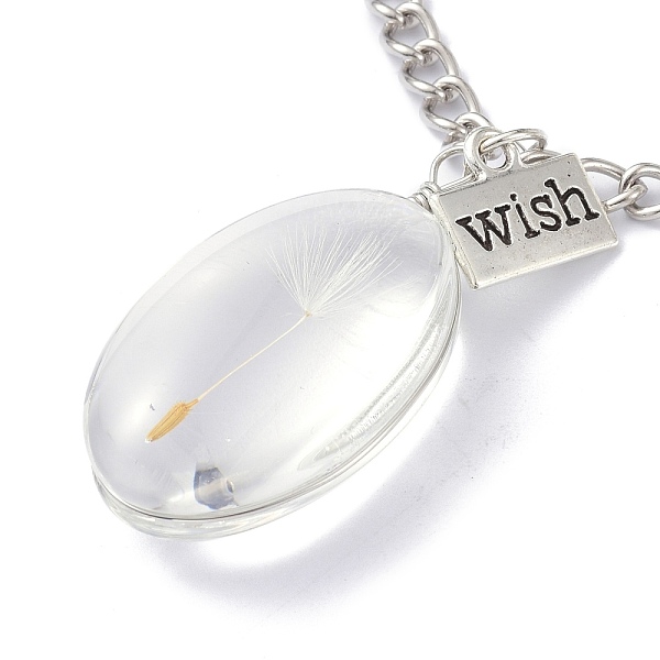 

PandaHall Dandelion Seed Wish Necklace for Teen Girl Women Gift, Transparent Oval Glass Pendant Necklace, with Iron Chain, Clear, 24.41 inch...