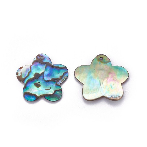 

PandaHall Abalone Shell/Paua Shell Pendants, Flower, 23.5~24x24~25x1~2mm, Hole: 1.4~1.5mm Paua Shell Flower