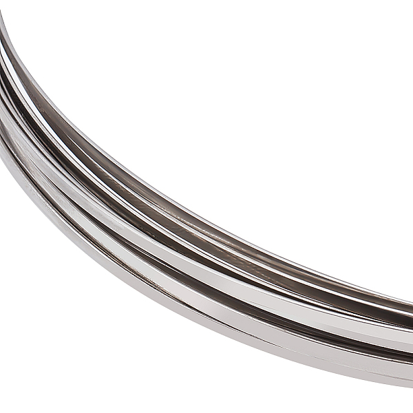 

PandaHall Stainless Steel Wire, Flat, Stainless Steel Color, 2.6x0.8mm, about 22.97 Feet(7m)/Roll Stainless Steel Flat