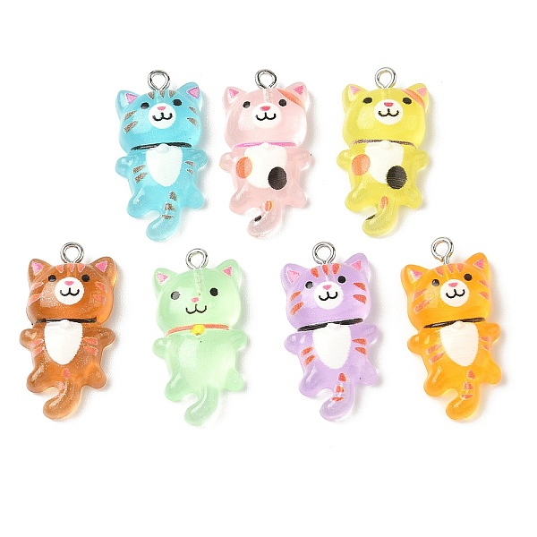 Pendentifs en résine transparente-image-FIND-A058-04-fr