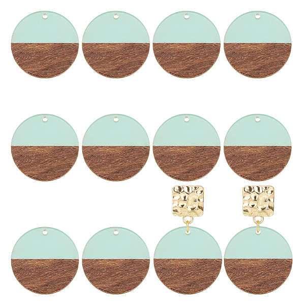 

PandaHall OLYCRAFT 12pcs Resin Wooden Earring Pendants Flat Round Vintage Resin Wood Statement Jewelry Findings for Necklace and Earring..., Green