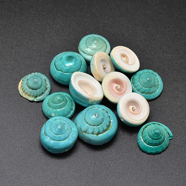 

PandaHall Dyed Natural Shiva Eye Shell Beads, Dark Cyan, 12~18x7~9mm, Hole: 1mm, about 230pcs/500g Shiva Eye Shell Others Cyan