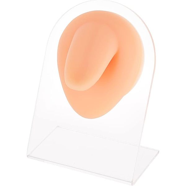 

PandaHall Soft Silicone Tongue Flexible Model Body Part Displays with Acrylic Stands, Jewelry Display Teaching Tools for Piercing Suture...