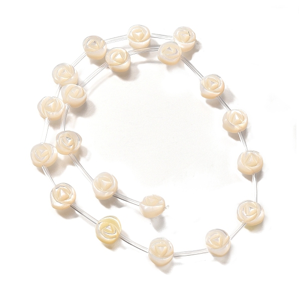 Natural White Shell… - image