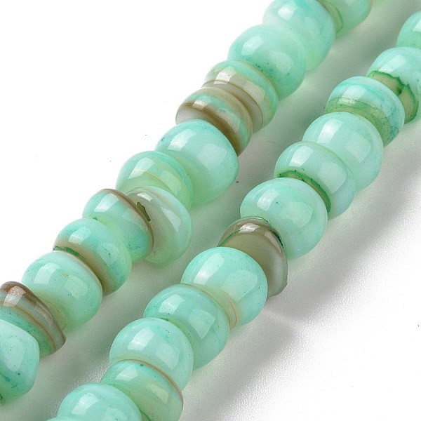 

PandaHall Natural Cultured Freshwater Shell Beads Strands, Dyed, Rondelle, Aquamarine, 6.5~7.5x2~6.5mm, Hole: 1mm, about 85pcs/strand, 14.88..., Green