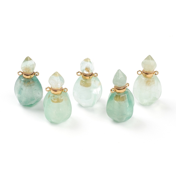 

PandaHall Faceted Natural Fluorite Pendants, Openable Perfume Bottle, with Golden Tone Brass Findings, 32~33x17~18x16mm, Hole: 2mm, capacity...