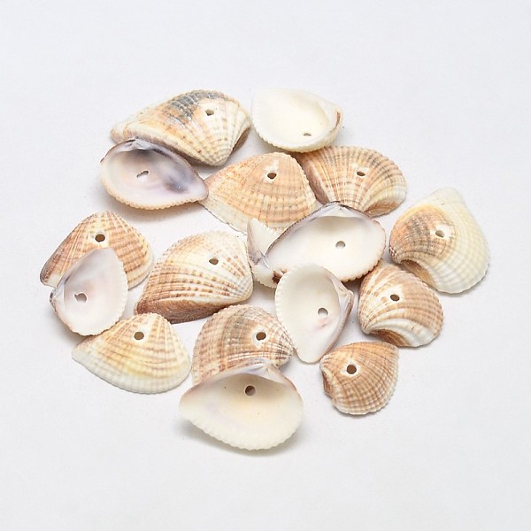 

PandaHall Dyed Natural Ark Shell Beads, Sea Shell Beads, Blanched Almond, 15~26x12~22x4~7mm, Hole: 1mm, about 870pcs/500g Ark Shell Shell..., Orange