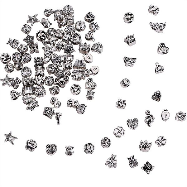 

PandaHall 120Pcs 40 Styles Tibetan Style Alloy European Beads, Large Hole Beads, Mixed Shapes, Antique Silver, 3pcs/style Alloy Mixed Shapes