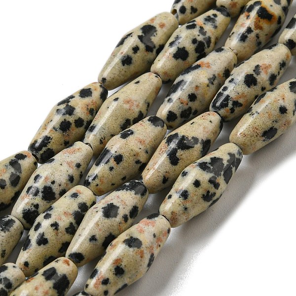 

PandaHall Natural Dalmatian Jasper Beads Strands, Bicone, 14~15x6mm, Hole: 1mm, about 25~26pcs/strand, 14.57~15.16''(37~38.5cm) Dalmatian...