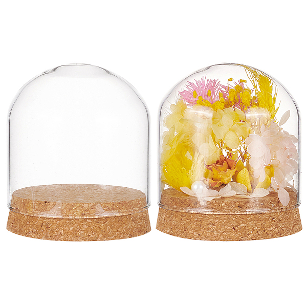 

PandaHall Glass Dome Cover, Decorative Display Case, Cloche Bell Jar Terrarium with Cork Base, Arch, Clear, 80x91mm Glass Arch Clear