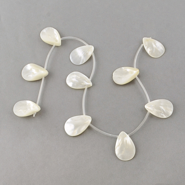 Natural Sea Shell B… - image