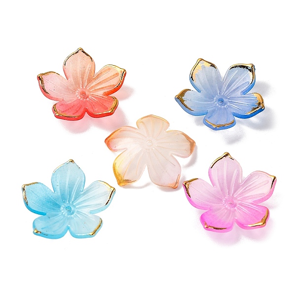 Transparent Acrylic… - image