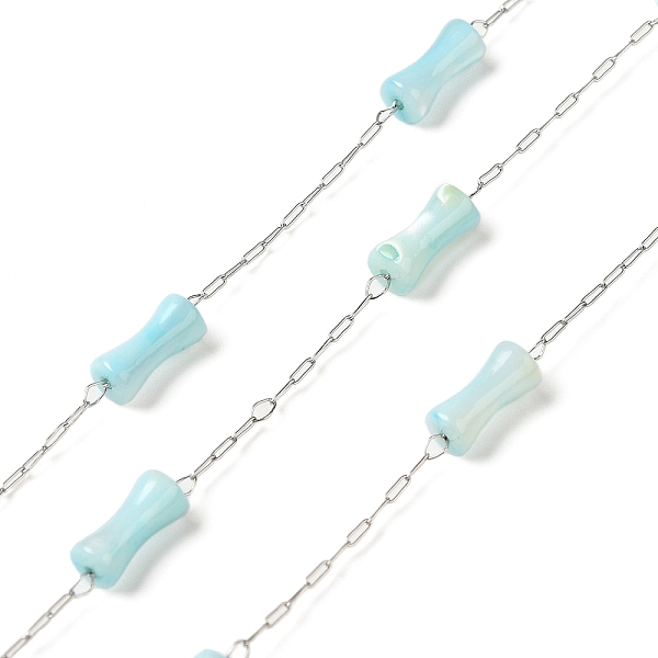 

PandaHall 304 Stainless Steel Cable Chains and Dyed Shell Beads, Tambourin, Soldered, with Spool, Light Sky Blue, 2.5x0.8x0.1mm 304...