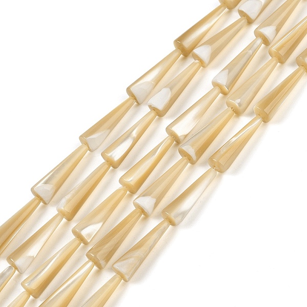 

PandaHall Natural Trochus Shell Beads Strands, Cone, Goldenrod, 24.5~25x7~7.5mm, Hole: 0.8mm, about 16pcs/strand, 15.94 inch(40.5cm) Trochus..., Gold