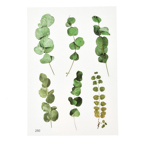 

PandaHall Waterproof Plastic Self Adhesive Stickers, Plant Pattern, Leaf Pattern, 15x10.5x0.01cm Plastic Leaf Green