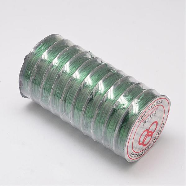 

PandaHall Flat Elastic Crystal String, Elastic Beading Thread, for Stretch Bracelet Making, Sea Green, 0.8mm, about 10.93 yards(10m)/roll...