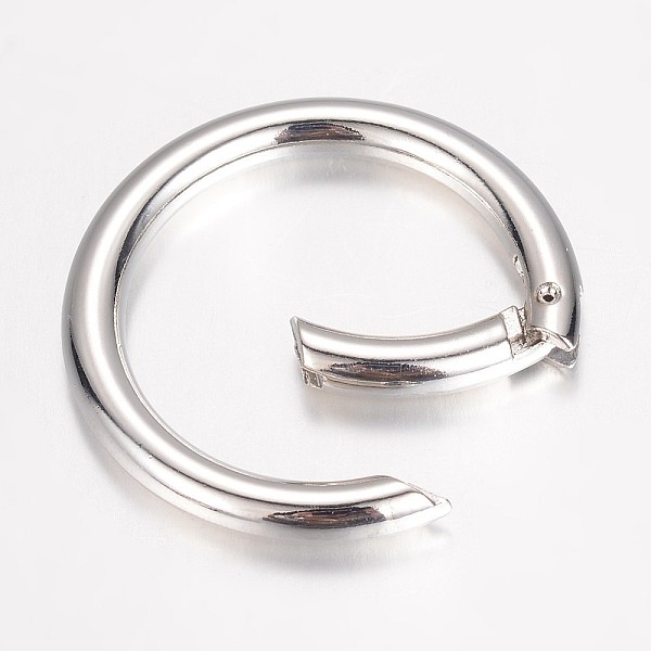 

PandaHall Alloy Spring Gate Rings, O Rings Findings, Spring Gate O Rings, Platinum, 44x5mm, Inner Diameter: 34mm Alloy