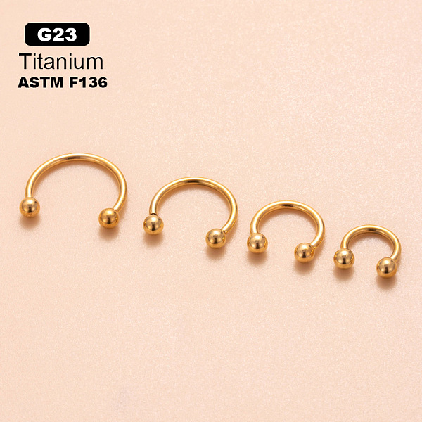 G23 Titanium Hoop N… - image