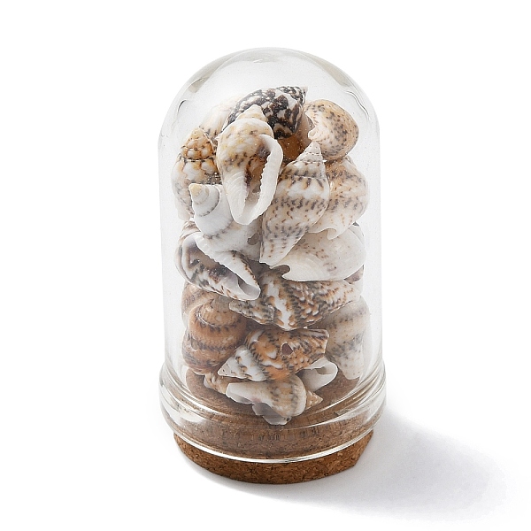 

PandaHall Glass Dome Bottle Display Decorations, with Natural Shell Bead Inside and Cork Base, White, 46~48x25mm Shell Shell Shape White