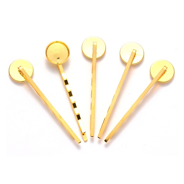 Iron Hair Bobby Pin… - image