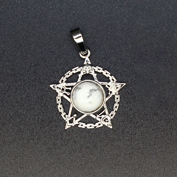 

PandaHall Natural Howlite Pendants, Star Charms, 27x25x6mm Howlite Star