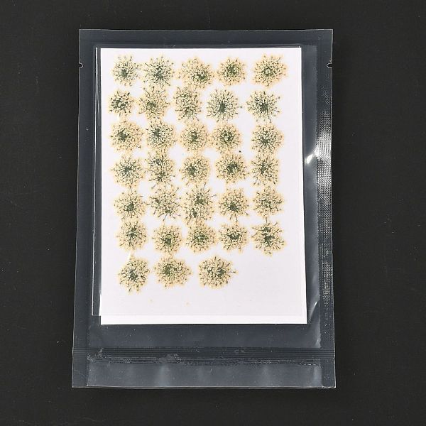 

PandaHall Pressed Dried Flowers, for Cellphone, Photo Frame, Scrapbooking DIY Handmade Craft, Beige, 15~20x13~19mm, 100pcs/bag Dried Flower..., Yellow