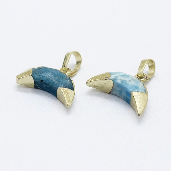 

PandaHall Natural Apatite Pendants, with Brass Findings, Moon, Golden, 12x16.5x5mm, Hole: 4x6mm Apatite Moon