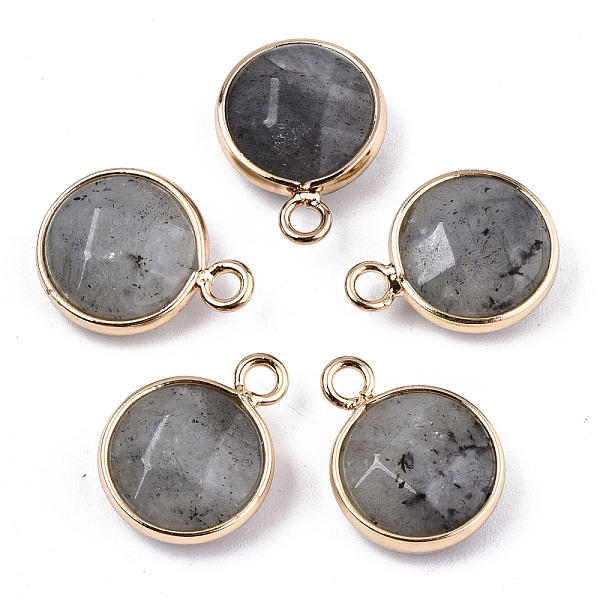 

PandaHall Natural Labradorite Pendants, Light Gold Tone Brass Edge, Faceted, Flat Round, 18x13.5x6mm, Hole: 2mm Labradorite Flat Round