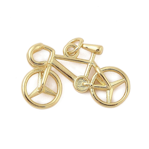 Bicycle Rack Platin… - image