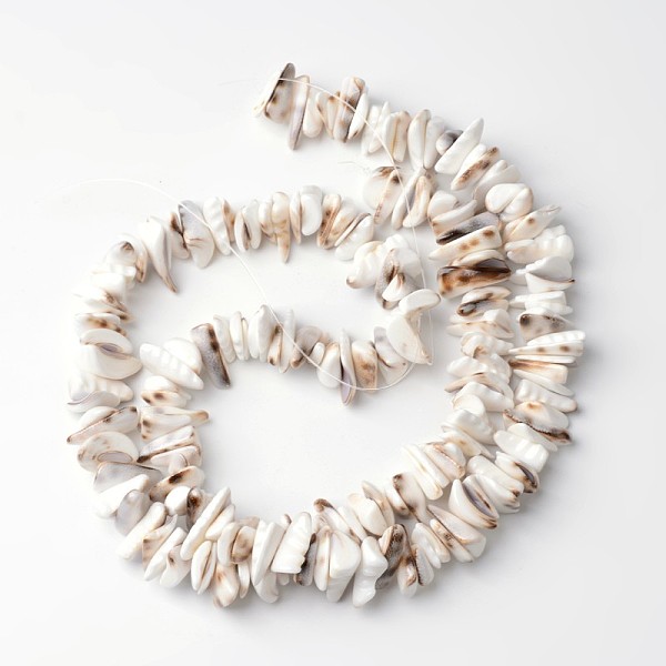 

PandaHall Natural Tiger Cowrie Shell Beads Strands, Seashell Color, 7~11x15~21x2~5mm, Hole: 1mm, about 88pcs/strand, 15.4 inch Tiger Cowrie...