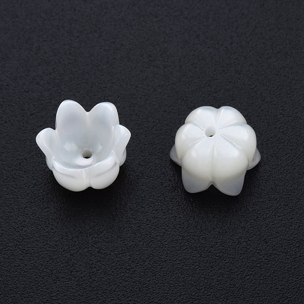 

PandaHall Natural White Shell Bead Caps, 6-Petal Flower, 6.5x9mm, Hole: 1mm Shell White