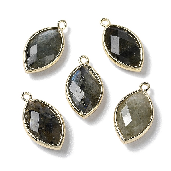 

PandaHall Natural Labradorite Pendants, with Platinum Brass Edge, Faceted, Horse Eye, 22x12x5.5mm, Hole: 1.8mm Labradorite Eye